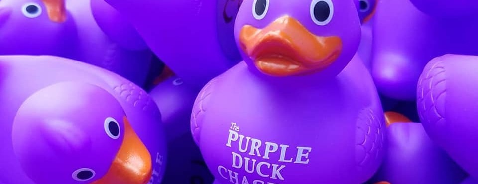 Epilepsy Awareness Day at Elitches and the Purple Duck Chase